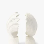 Shell Bookends (Set of 2)