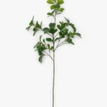 Faux Shady Lady Stem