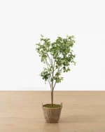 Faux Tangerine Tree