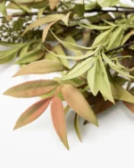 Faux Seeded Eucalyptus Stem - Image 2