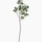 Faux Seeded Dollar Eucalyptus Stem
