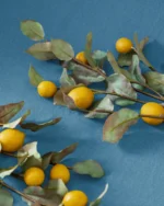 40" Lemon Branch - Image 2