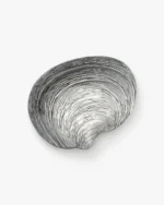 Specchio Shell Bowl in Silver - Image 2