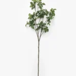Faux Japanese Quince Stem