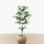 Faux Cascalote Tree