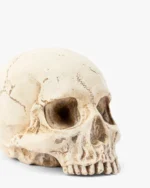 Resin Skull Object - Image 2