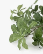 Faux Japanese Quince Stem - Image 2