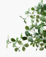 Faux Cascalote Tree - Image 2