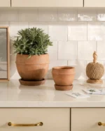 Vichy Terracotta Planter - Image 3