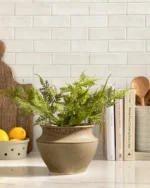 Liora Pot - Image 3