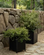 Clariance Planter - Image 3