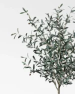 Faux 72" Olive Tree with Ceramic Pot - Image 3