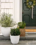 Handled Planter Basket - Image 3