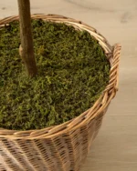 Faux Tangerine Tree - Image 3