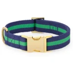 Camden Striped Webbing Collar Walk Set - Image 2