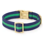 Camden Striped Webbing Dog Collar - Image 2
