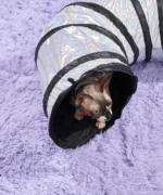 Cat Tunnel - Image 2
