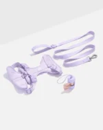 Cushioned Harness + Lightweight Leash Walk Kit