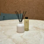 Diffuser Solution - Image 2