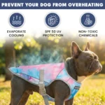 Dog Cooling Vest (2-pack) - Ice Blue & Snow Cone - Image 2