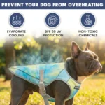Dog Cooling Vest (2-pack) - Snow Cone & Tropical Storm - Image 2
