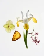 Glossier Candles - Image 2
