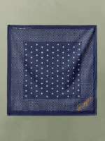 i+w vintage blue bandana