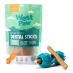 Large Limited Edition Winter Mint Qwizl + Dental Stick Bundle