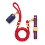 Mariner Striped Webbing Collar Walk Set