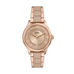 Men's Watch Automatic Mechanical Sapphire Crystal