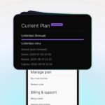 Plaud Intelligence Unlimited Plan - Annual - Image 2