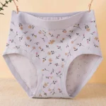 Sth Big Womens Cotton Underwear Sexy Lace Brazilian Panties Soft Breathable Cotton Bikini for Ladies 6 Pack