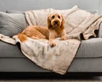 PupProtector™ Summer Short Fur Waterproof Throw Blanket - White with Brown Accents - Image 2