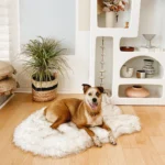 PupRug by Paw.com® Faux Fur Orthopedic Dog Bed - Curve White with Brown Accents - Image 2