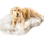 PupRug™ Faux Fur Orthopedic Dog Bed Cover - Curve White with Brown Accents (Bed Not Included)