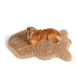 PupRug® Luxe Faux Fur Orthopedic Dog Bed Cover - Plush Sheep Tan (Bed Not Included) - Image 2