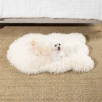 PupRug® Luxe Faux Fur Orthopedic Dog Bed - Plush Sheep Ivory - Image 2