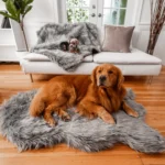 PupRug® Orthopedic Bed + Matching Waterproof Blanket Bundle - Charcoal Grey