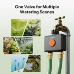 SONOFF Hydro DUO Dual-Channel Zigbee Smart Water Valve With Flow Meter | SWV-ZF2E/SWV-ZF2U - Image 2