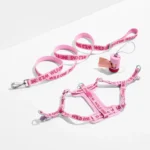 Step-In Harness + Lightweight Leash Walk Kit