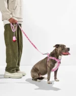 Step-In Harness + Lightweight Leash Walk Kit - Image 2
