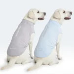 Sunblock Dog T-Shirt (2-pack) - Blue Grey