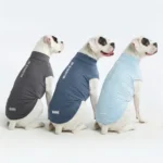 Sunblock Dog T-Shirt (3-pack) - Navy Blue, Dark Grey, Blue