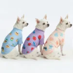 Sunblock Dog T-Shirt (3-pack) - Seashell, Berries, Pineapple - Image 2