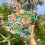The Travel Series Bundle - Image 2