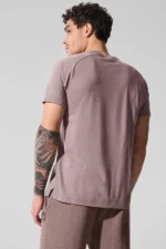 Triumph Raglan Tee - Mushroom - Image 3