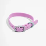 Waterproof Dog Collar